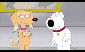Family Guy Brian wins Dog Show Full Episode 720P