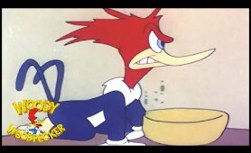 Woody Woodpecker | The Reckless Driver | Full Episodes