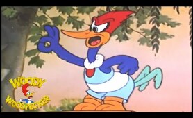 Woody Woodpecker | Pantry Panic | Full Episodes