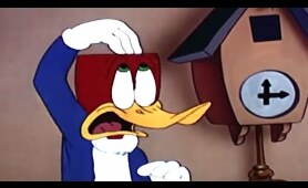 Woody Woodpecker Classic | Coo Coo Bird | Woody Woodpecker Full Episode | Kids Movies | Old Cartoons