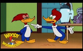 Woody Woodpecker | Two Woodys, No Waiting | Full Episodes